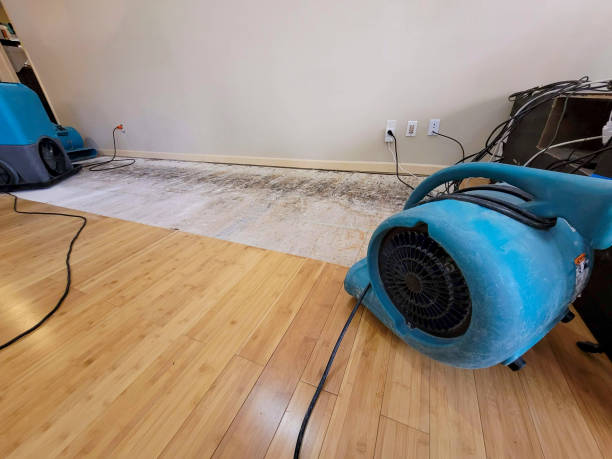 Professional Basement Flood Cleanup technician working in Manteca, CA